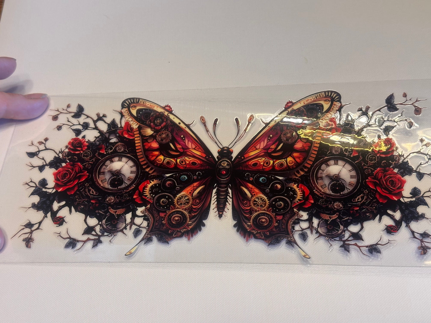 Butterfly 12