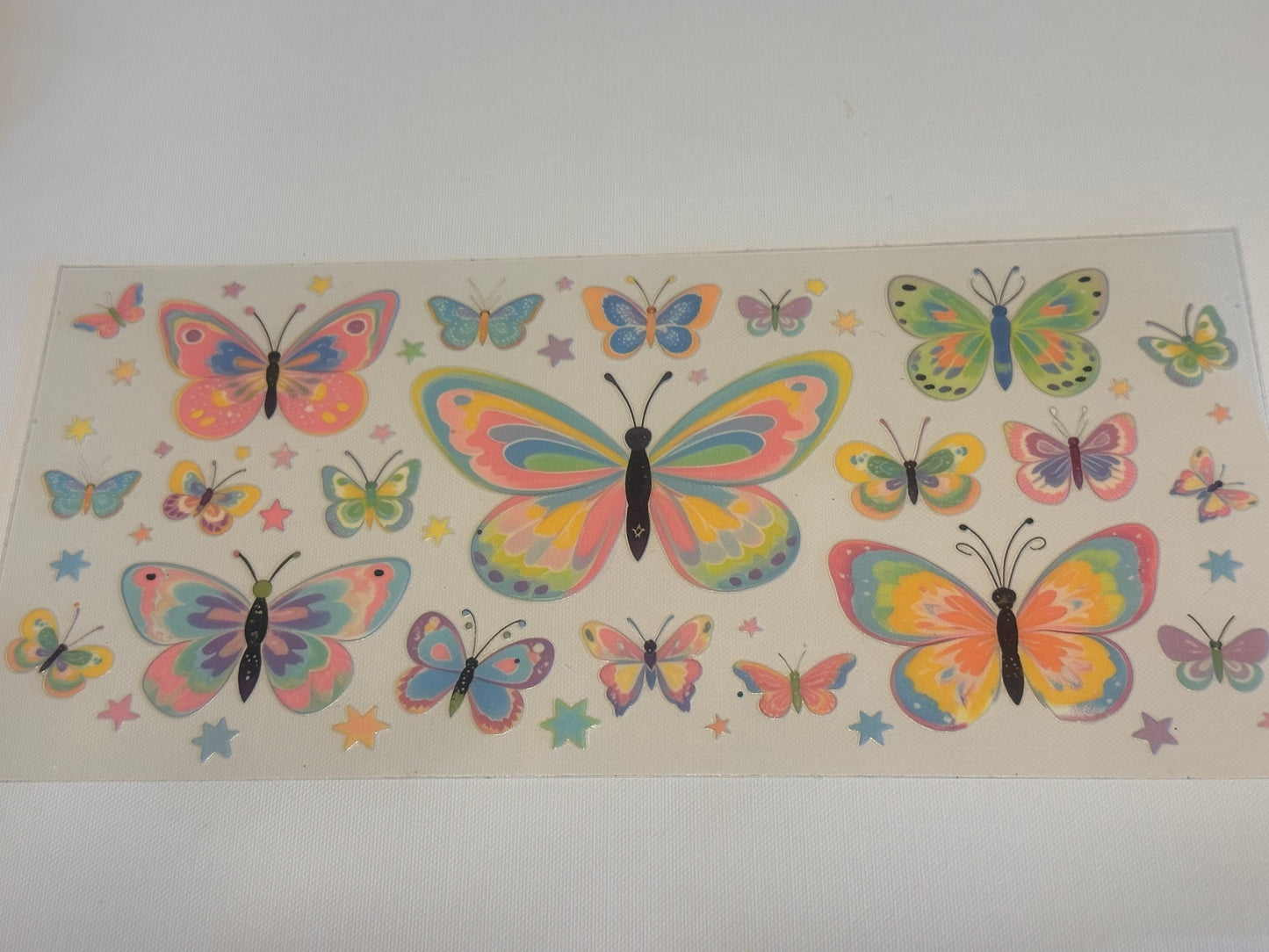 Butterfly’s 1