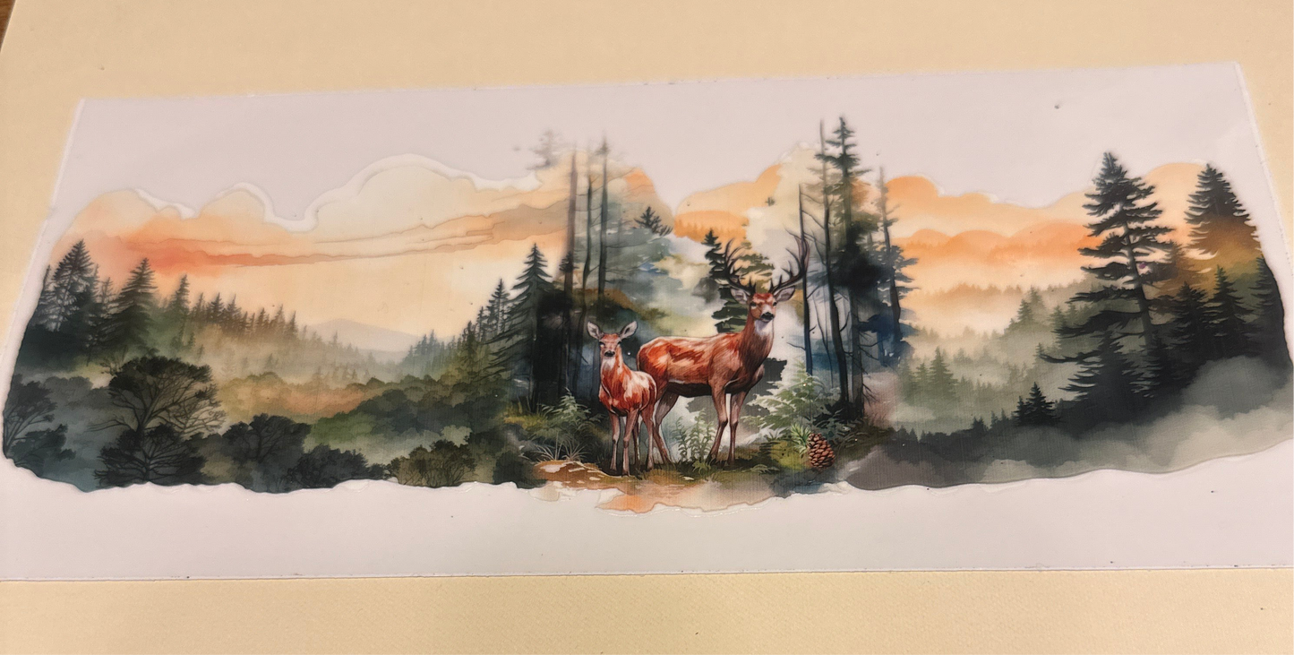 Outdoors/ buck and doe