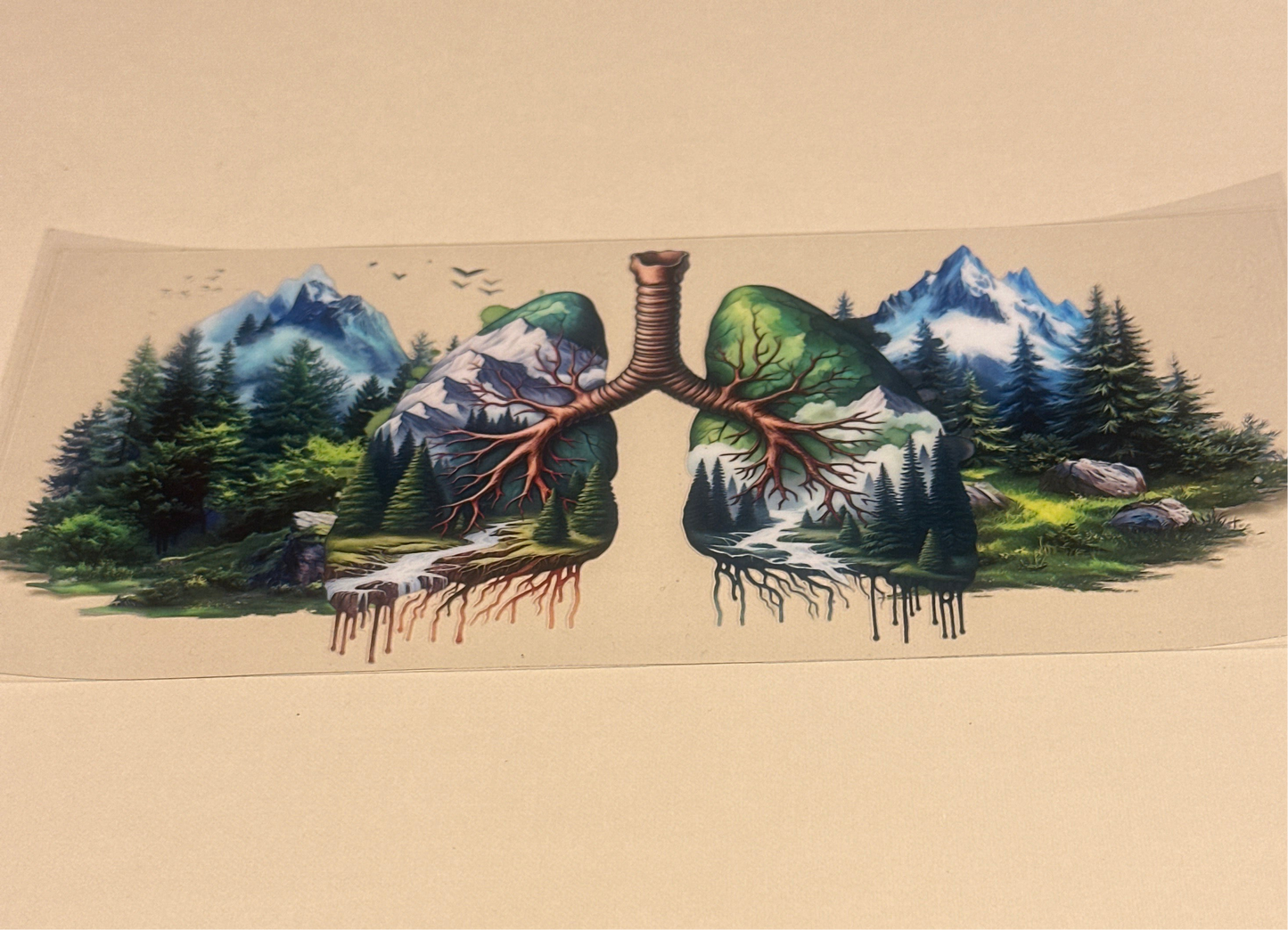 Outdoors / lungs