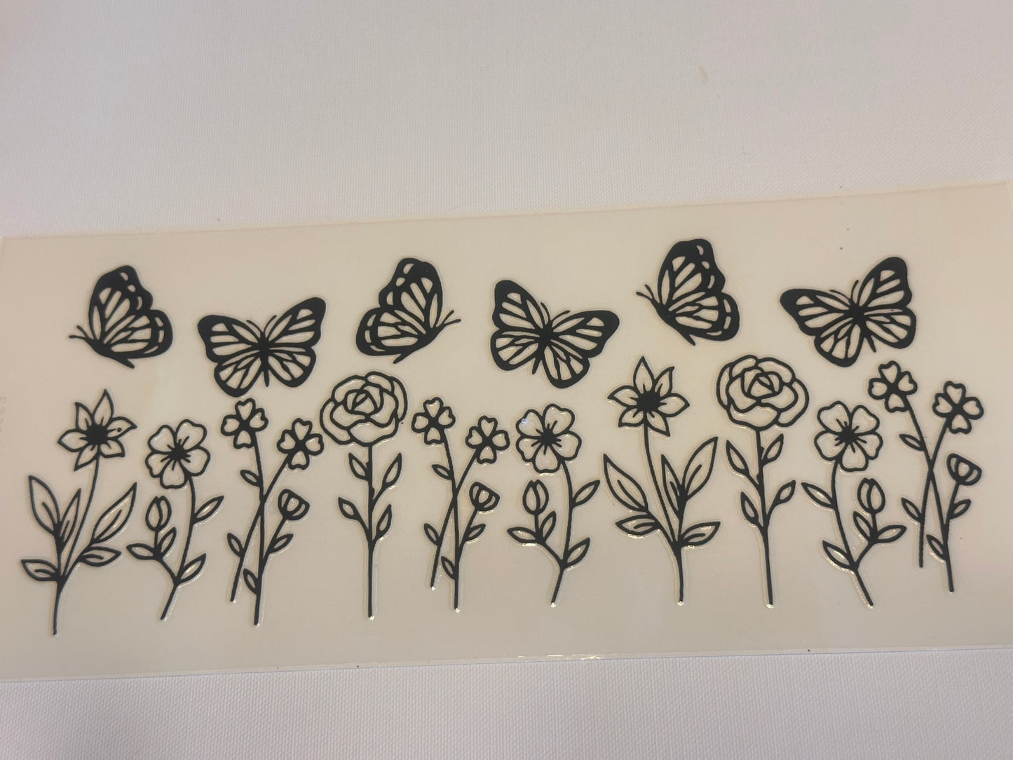 Butterfly’s 6