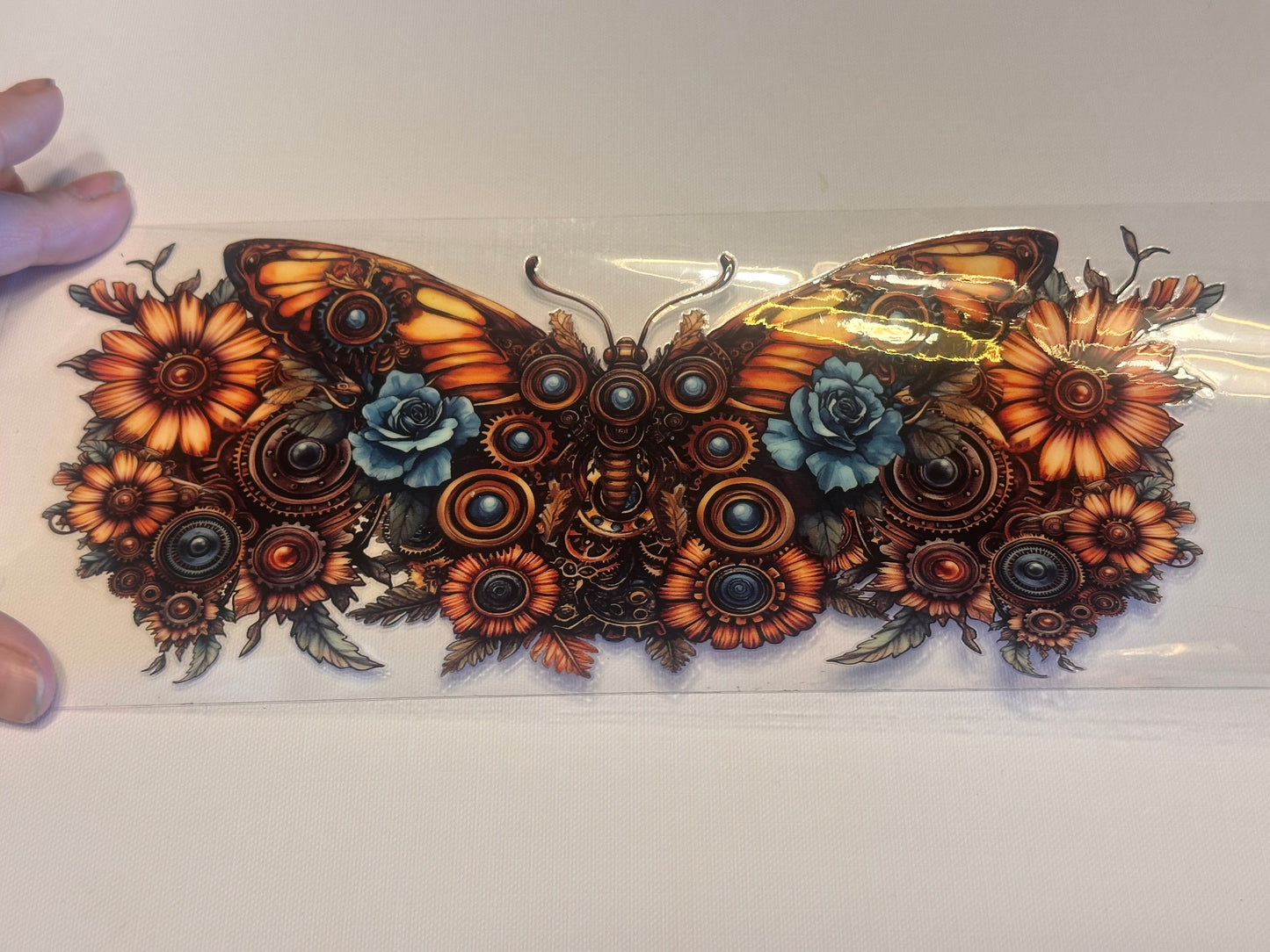 Butterfly  16