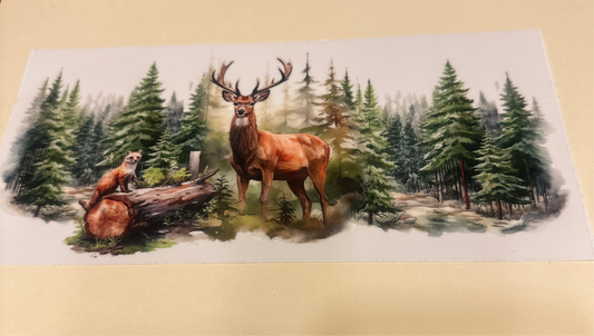 Outdoors/ buck and fox