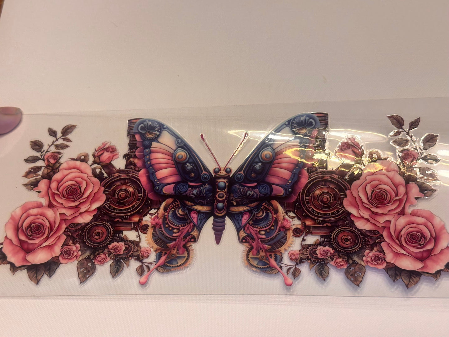Butterfly  14