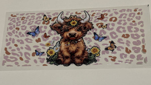 Curly hair cow