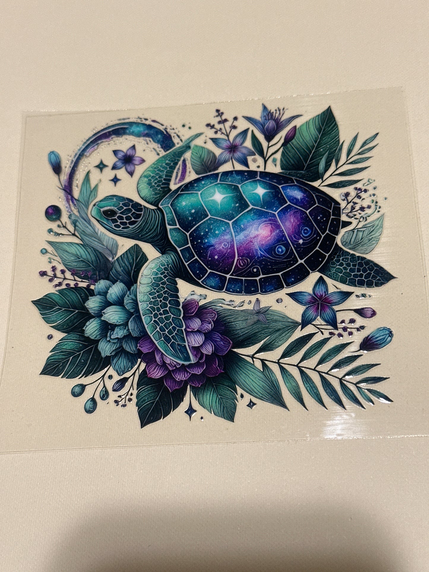 Turtles 3