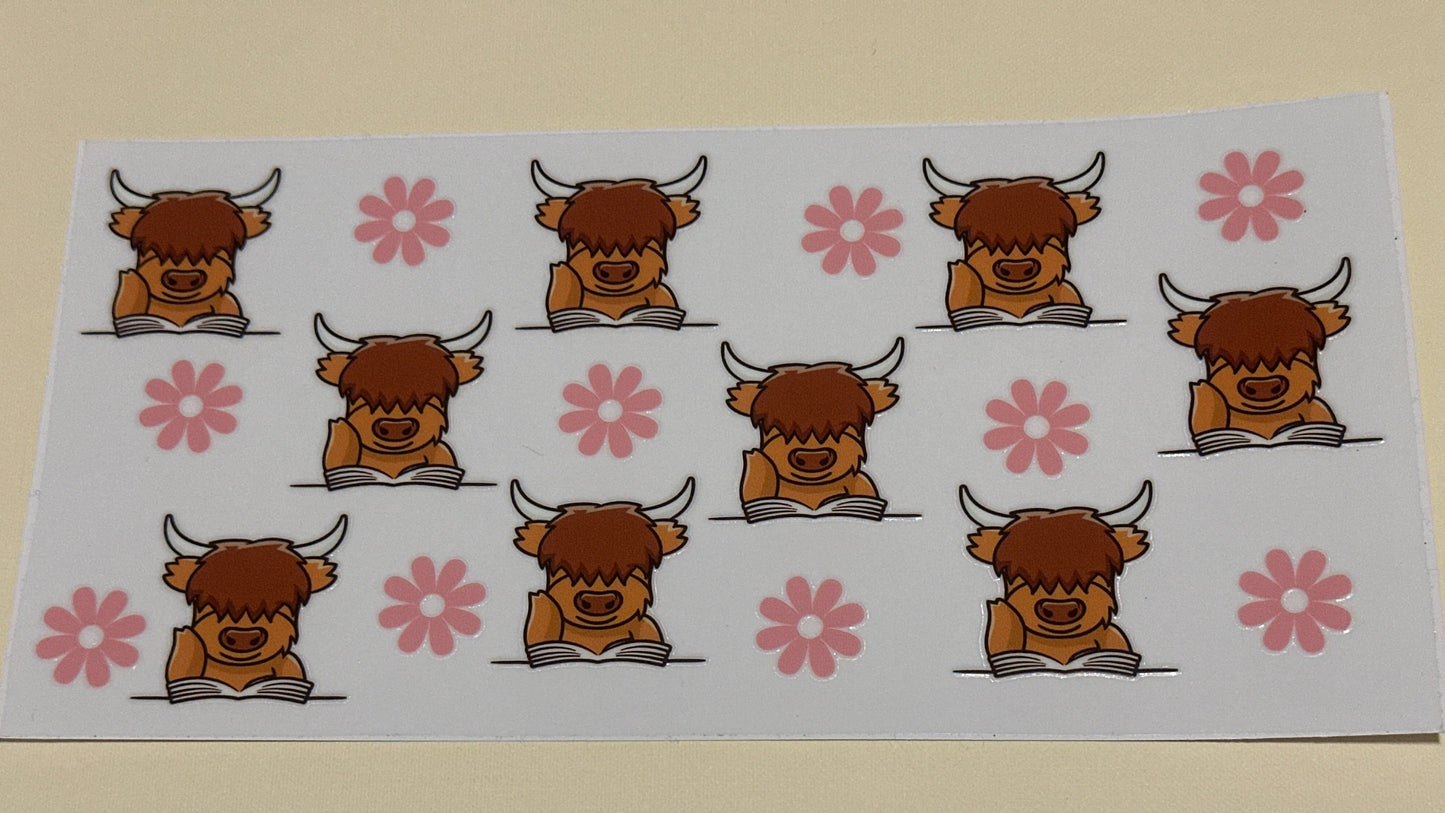 Highland cow 2