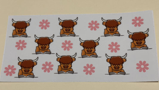 Highland cow 2